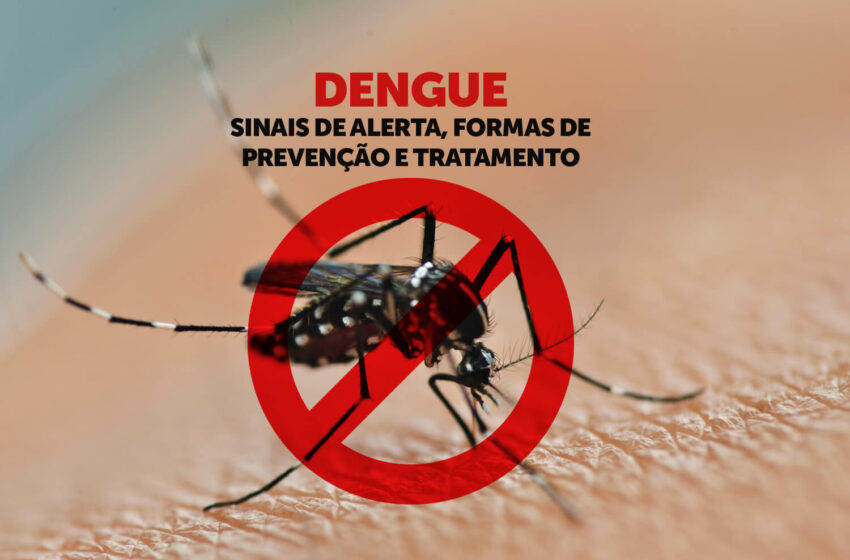  Dengue: elevação do número de casos exige atenção aos sintomas